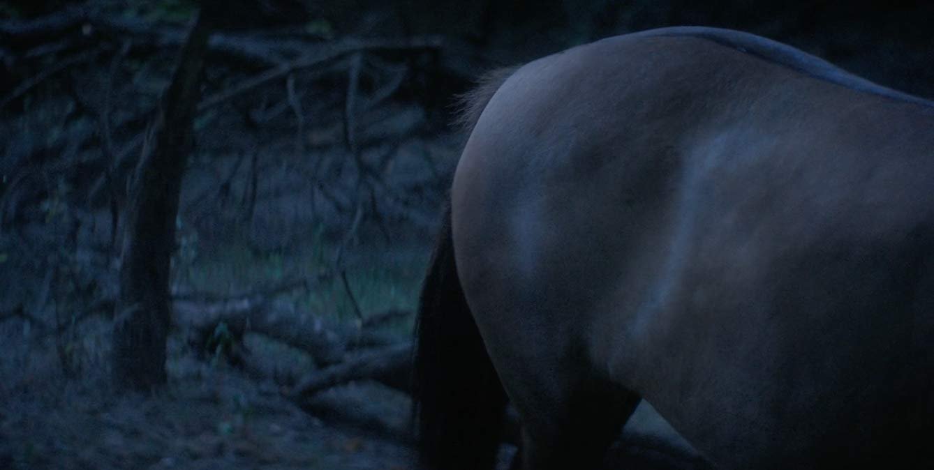 Still 1