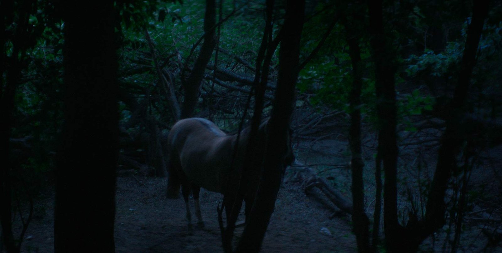 Still 3